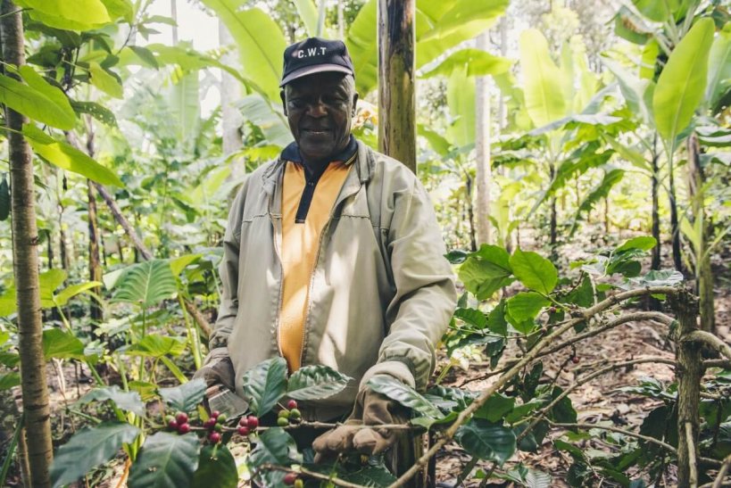 Photo_AfricanCoffee_TanzanianFarmer-e1611738649713